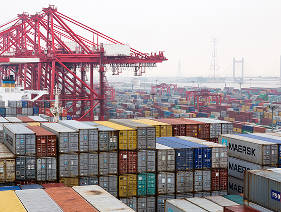 恭喜江蘇民生港務有限公司網站正式開通了